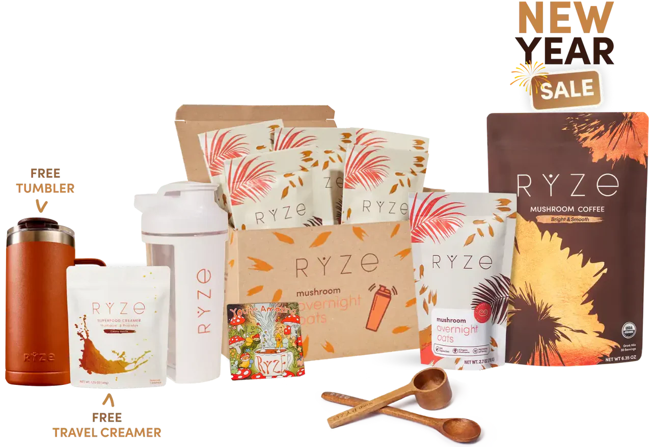 Morning Ritual ou lu