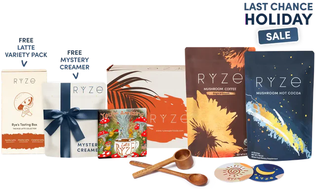 Day + Night Bundle fq q8